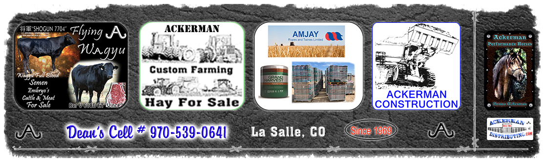 Ackerman Distribuitng, Construction, Custom Farming, & Performance Horses